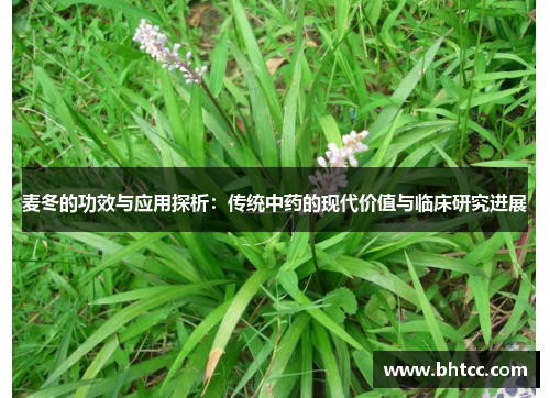 麦冬的功效与应用探析：传统中药的现代价值与临床研究进展