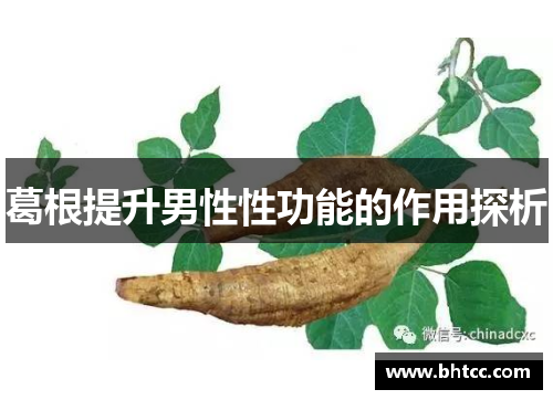 葛根提升男性性功能的作用探析