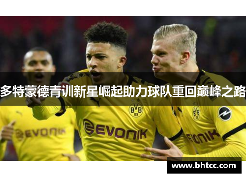 多特蒙德青训新星崛起助力球队重回巅峰之路